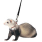 Marshall Pet Products Ferret Harness and Lead Set Blue