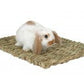Marshall Pet Products Woven Grass Mat for Small Animals Yellow