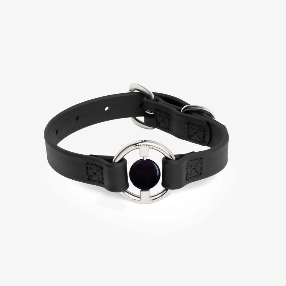 All Eyes On Me Dog Collar, view 21
