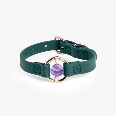 All Eyes On Me Dog Collar, Jungle green/XS