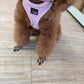 Reflective Stroke Prevention Pet Harness With Leash - Pets Perfect