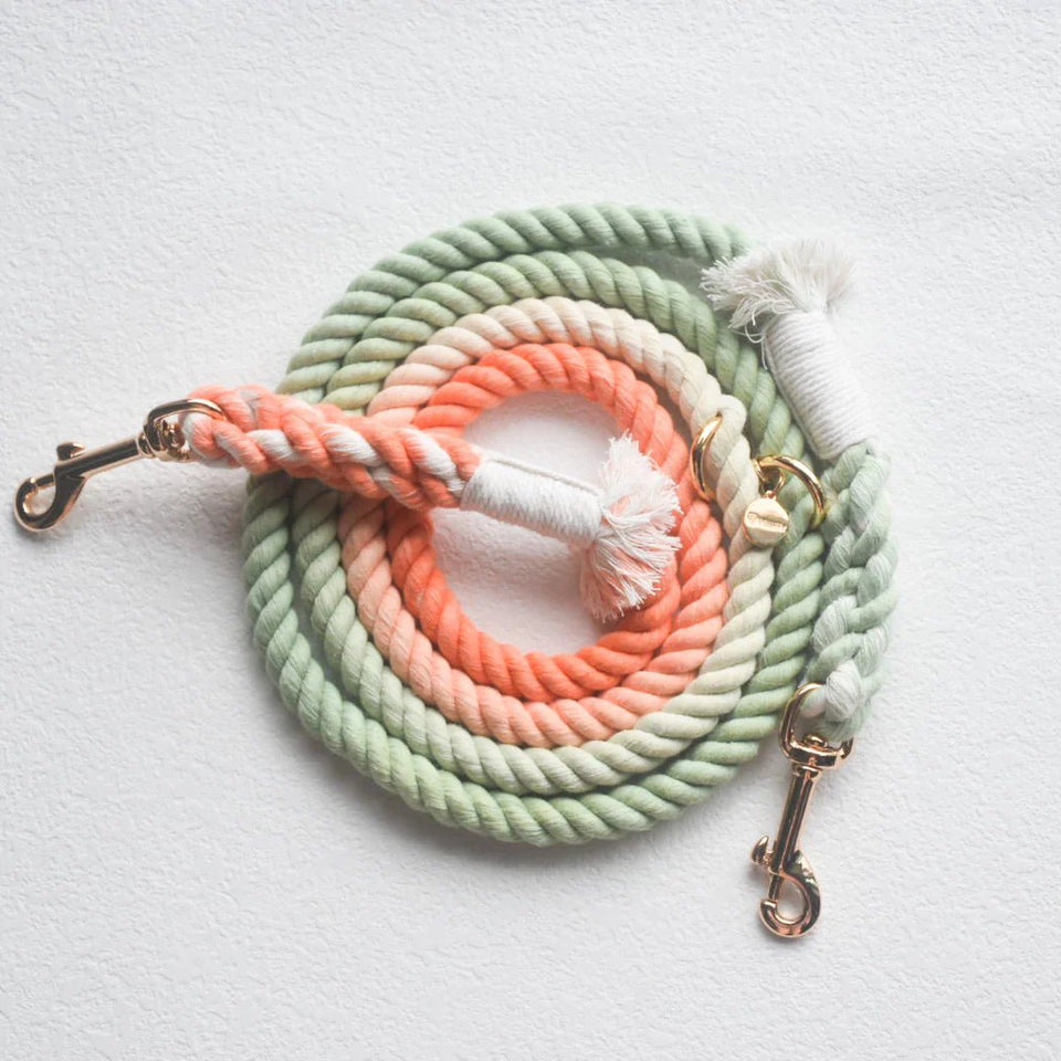 Hands-Free Dog Rope Dog Leash - Bubble Soda