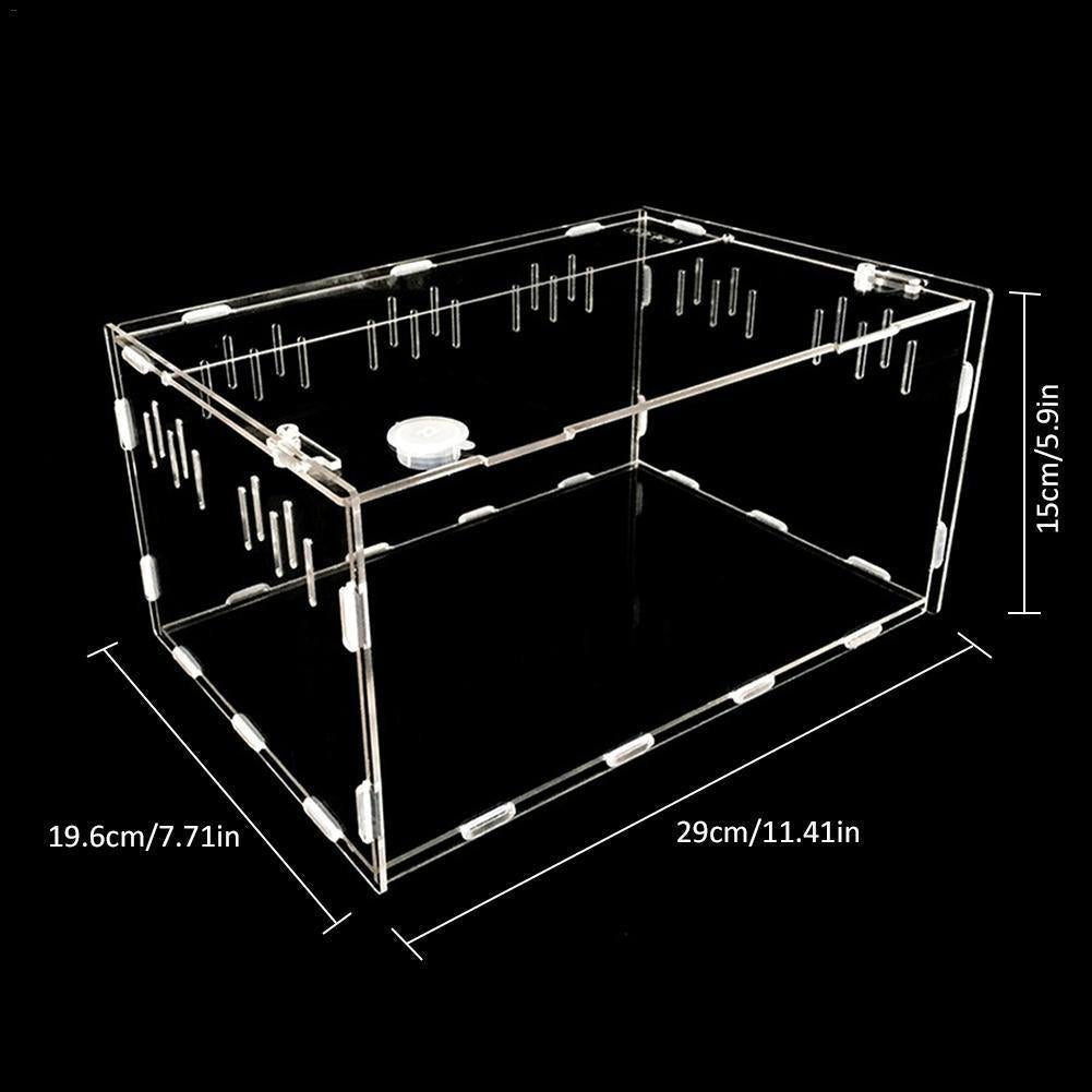 Reptile Haven: Crystal Clear Breeding Box For Your Beloved Pets - Pets Perfect