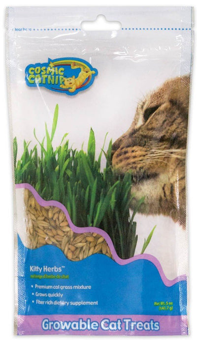 OurPets Kitty Herbs Growable Cat Grass, 5 oz