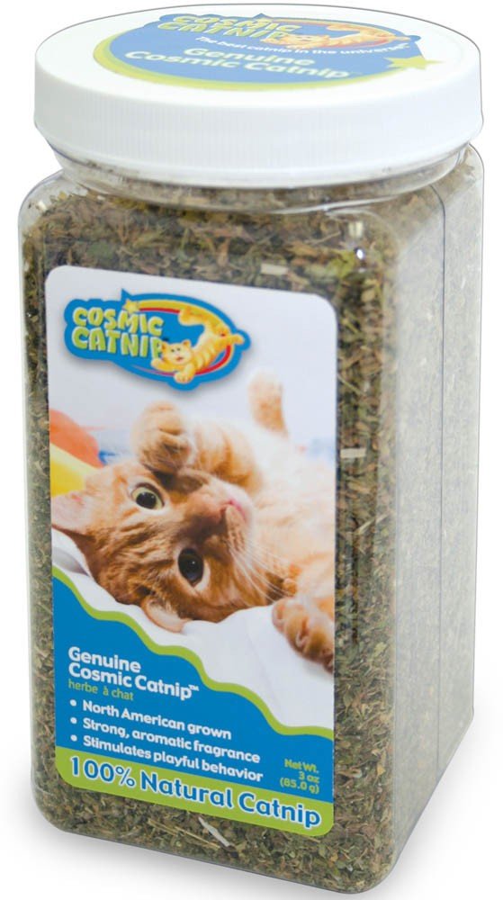 OurPets Cosmic Catnip 100% Natural Catnip 1ea/1.25Oz Jar - Pets Perfect