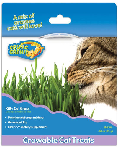 OurPets 100% Natural Kitty Cat Grass 0.88 oz