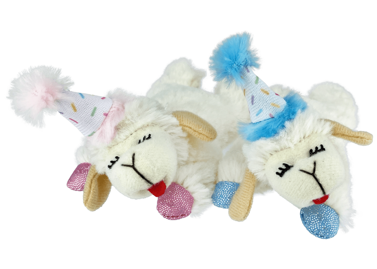 Multipet Lamb Chop Birthday Cat Toy 4" Pink - Pets Perfect