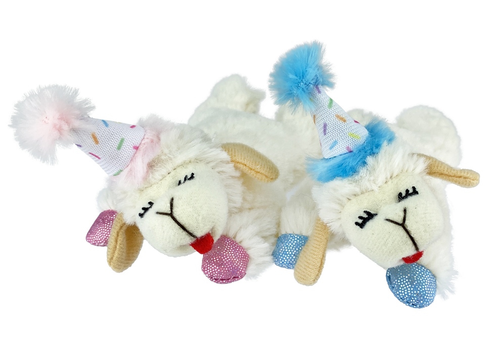 Multipet Lamb Chop Birthday Cat Toy 4 in Blue
