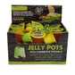 Komodo Jelly Pots Fruit Flavor Insect Food, 0.56 oz, 40 Count
