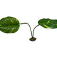 Komodo Jumbo Guiana Plant for Reptile Terrariums, 27 in