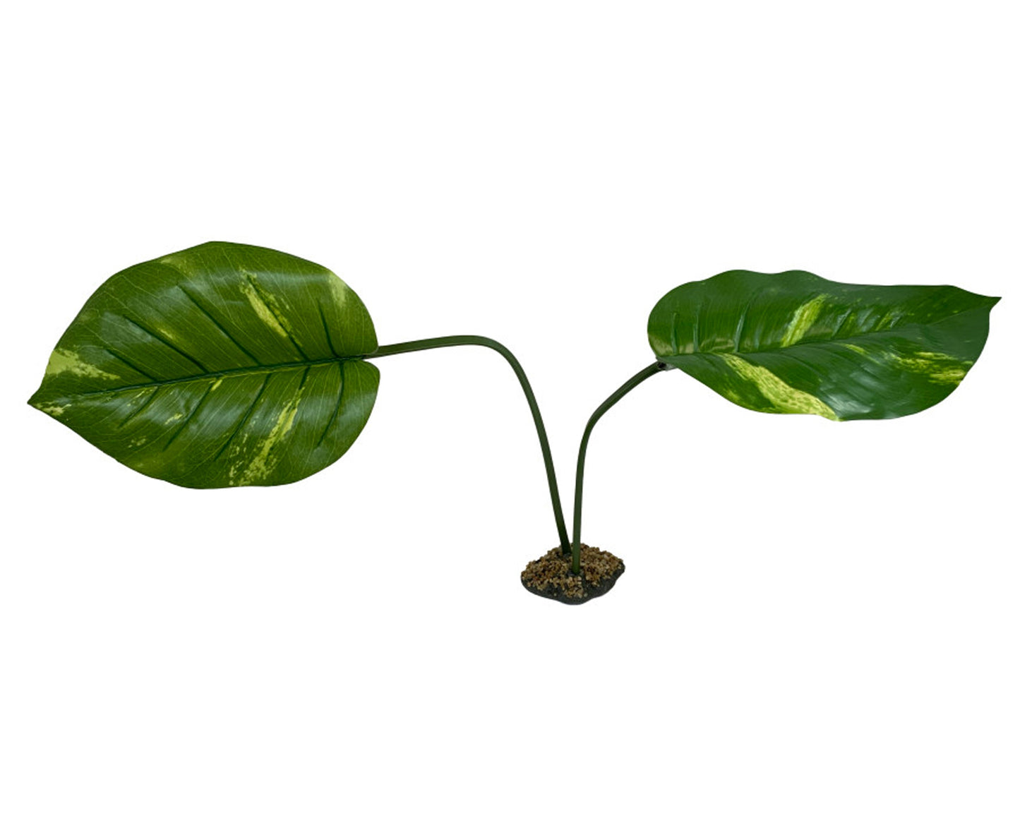 Komodo Jumbo Guiana Plant for Reptile Terrariums, 27 in