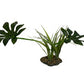 Komodo Jungle Canopy Plant, 42 cm