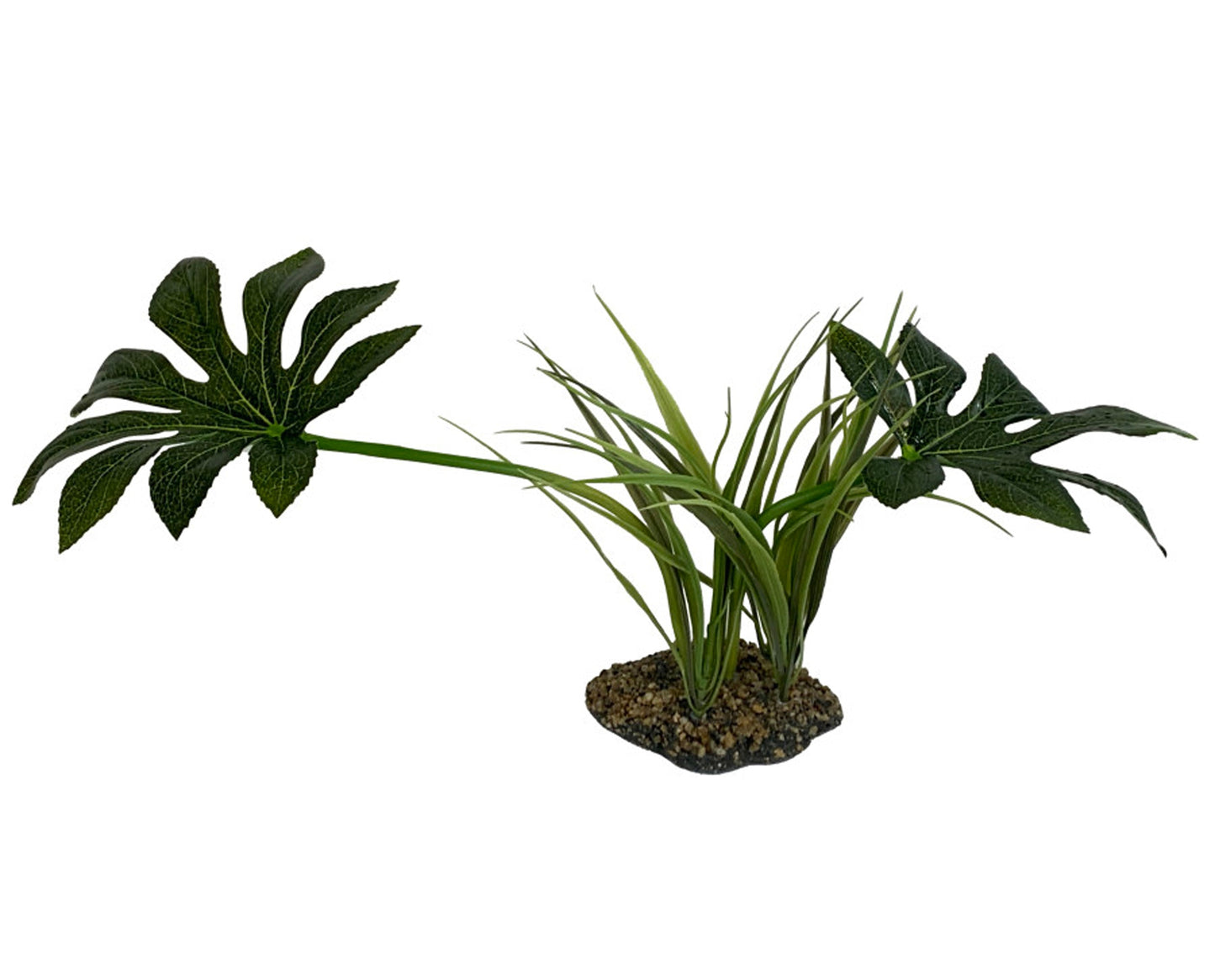Komodo Jungle Canopy Plant, 42 cm