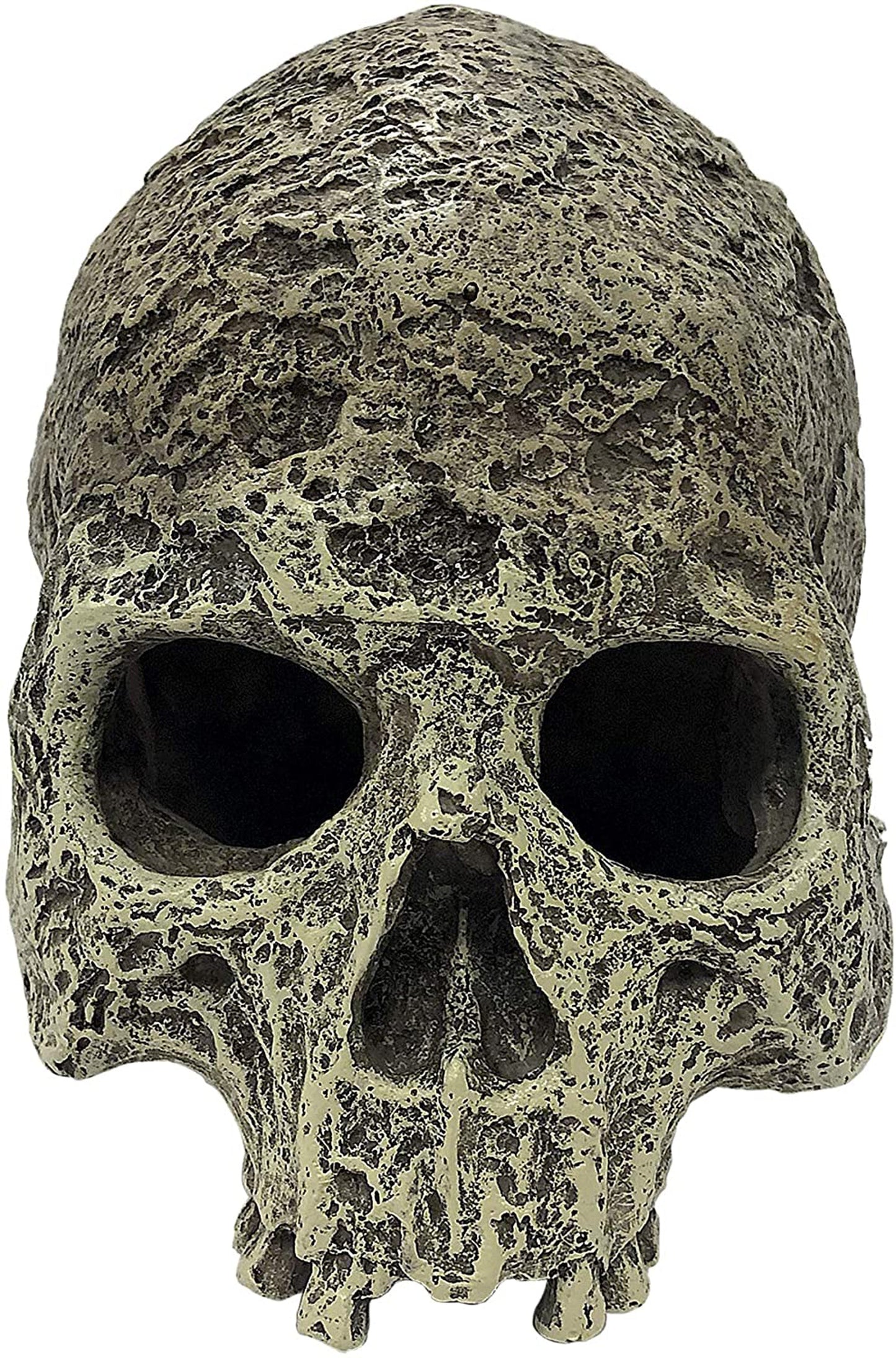 Komodo Textured Human Skull Reptile Hideout - Gray