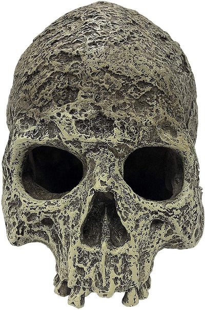 Komodo Textured Human Skull Reptile Hideout Gray