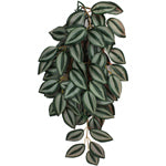 Komodo Zebrina Hanging Plant for Reptile Tanks, 16 in