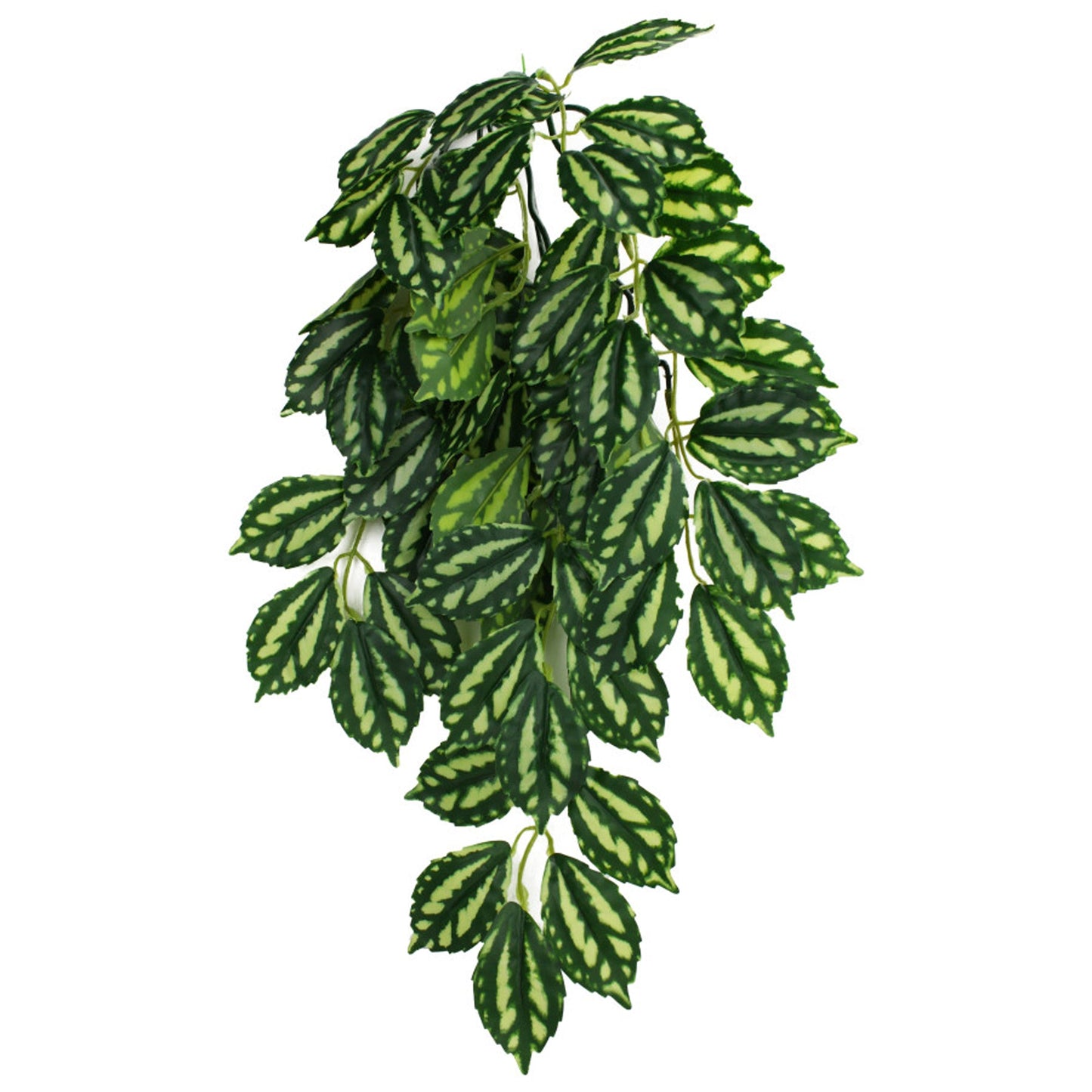 Komodo Two-Toned Leaf Hanging Plant Small 16 in - Terrarium Background Decor