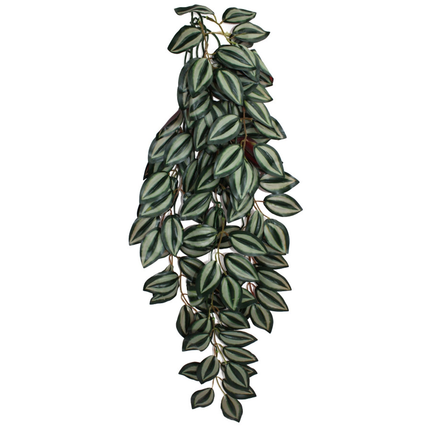Komodo Zebrina Hanging Plant Large 26 in - Terrarium Background Decor