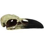 Komodo Raven Skull Hideout Large 18 in
