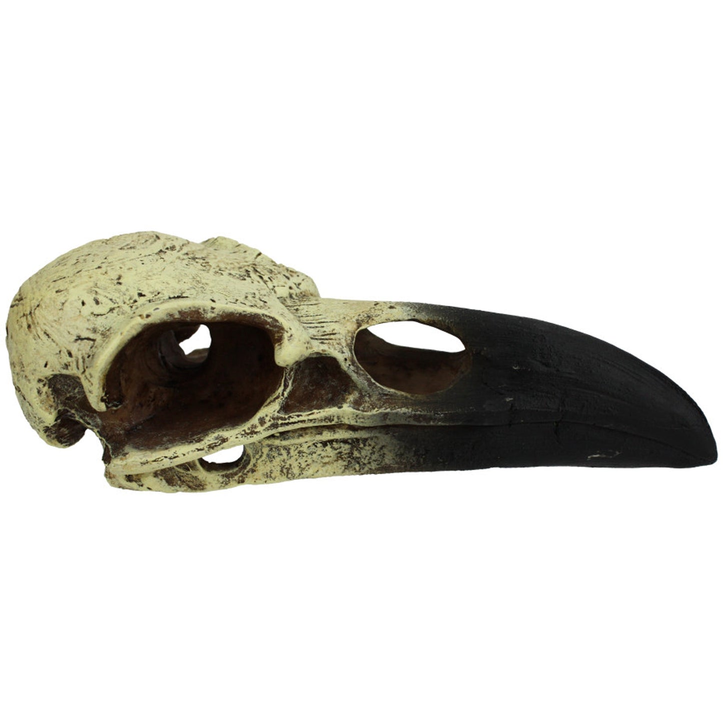 Komodo Raven Skull Hideout Large 18 in