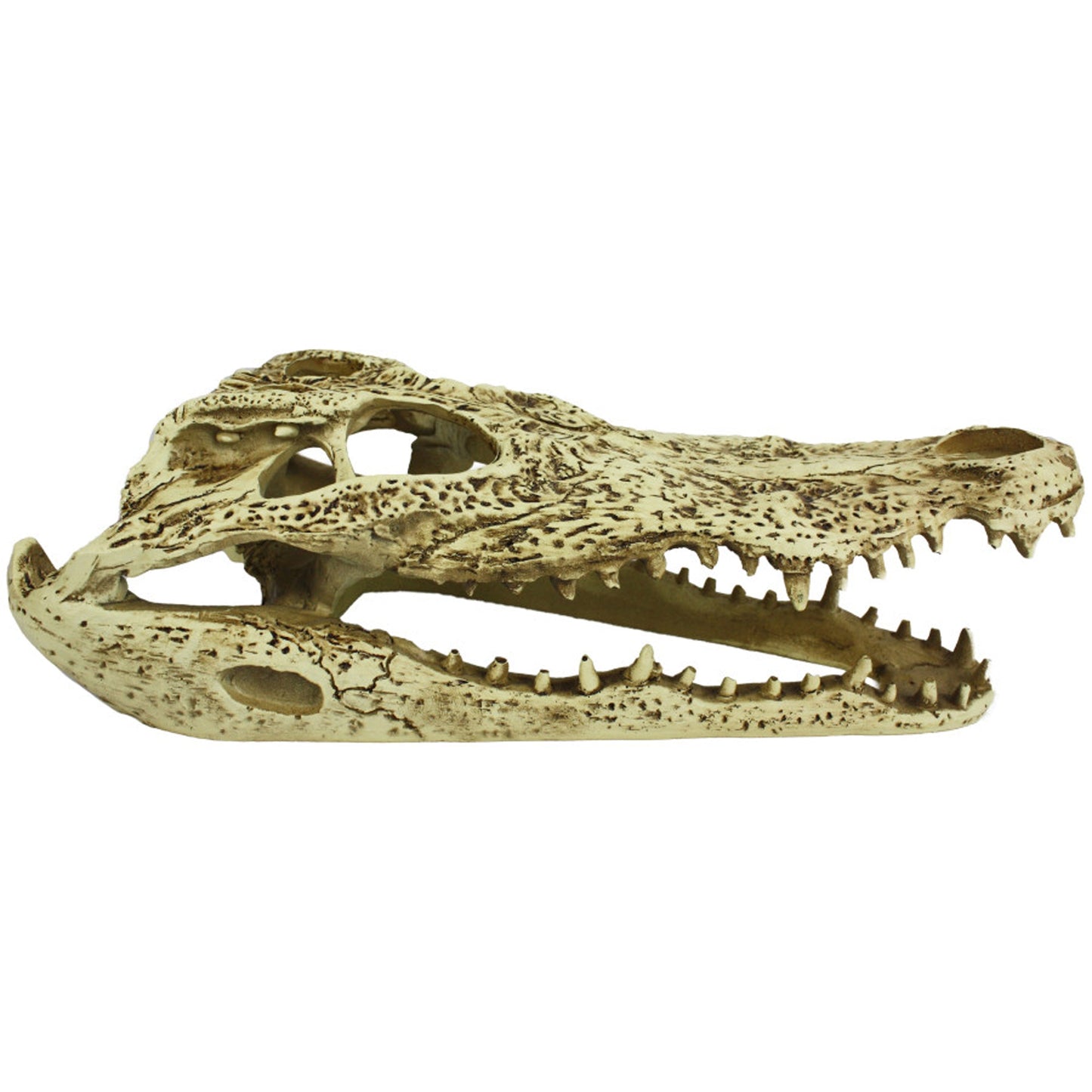 Komodo Alligator Skull Hideout for Reptile Terrariums, 9 Inch