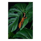 Komodo Monstera Leaf Standing Plant for Terrariums, 18 in
