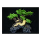 Komodo Bonsai Tree with Hide Reptile Terrarium Decor and Humidity Hide, 18 Inch