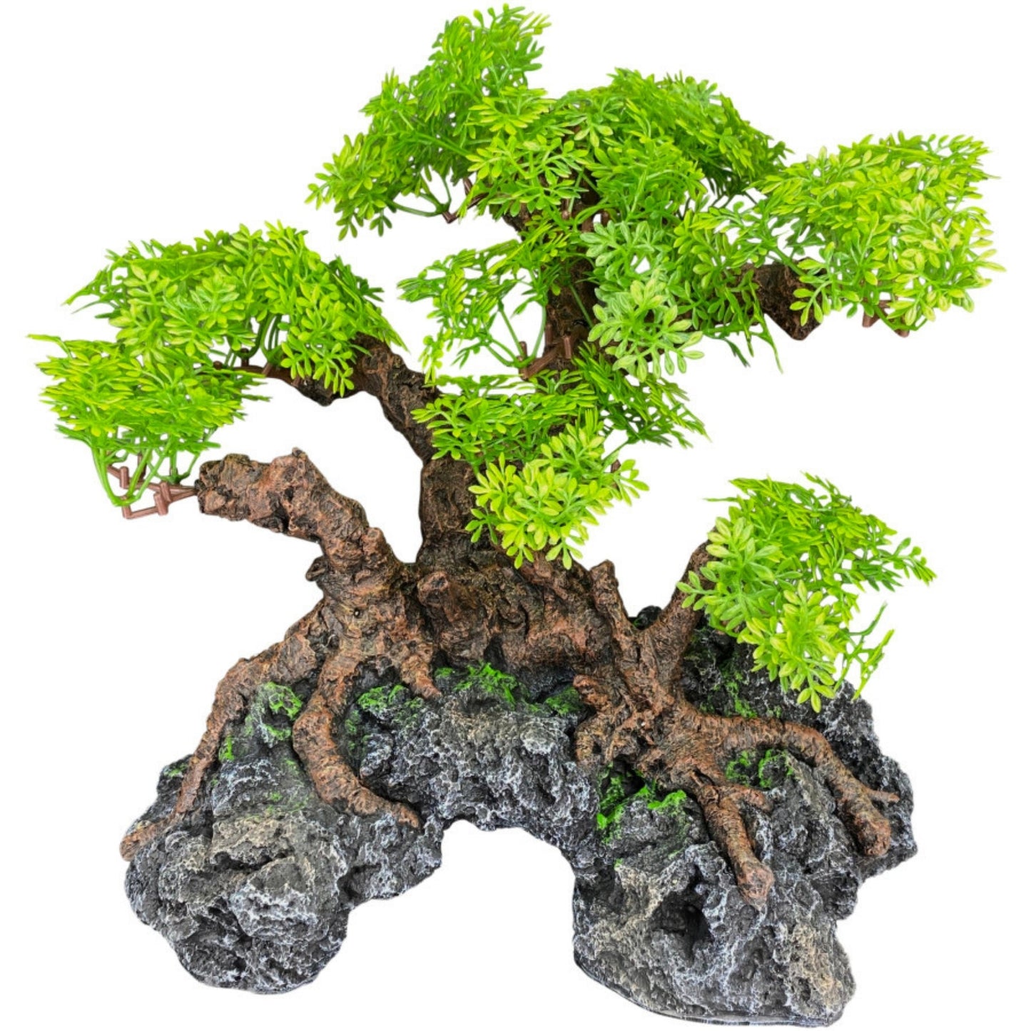 Komodo Bonsai Tree with Hide Reptile Terrarium Decor and Humidity Hide, 18 Inch