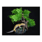 Komodo Bonsai Tree Terrarium Decor and Reptile Basking Spot, 17 Inch