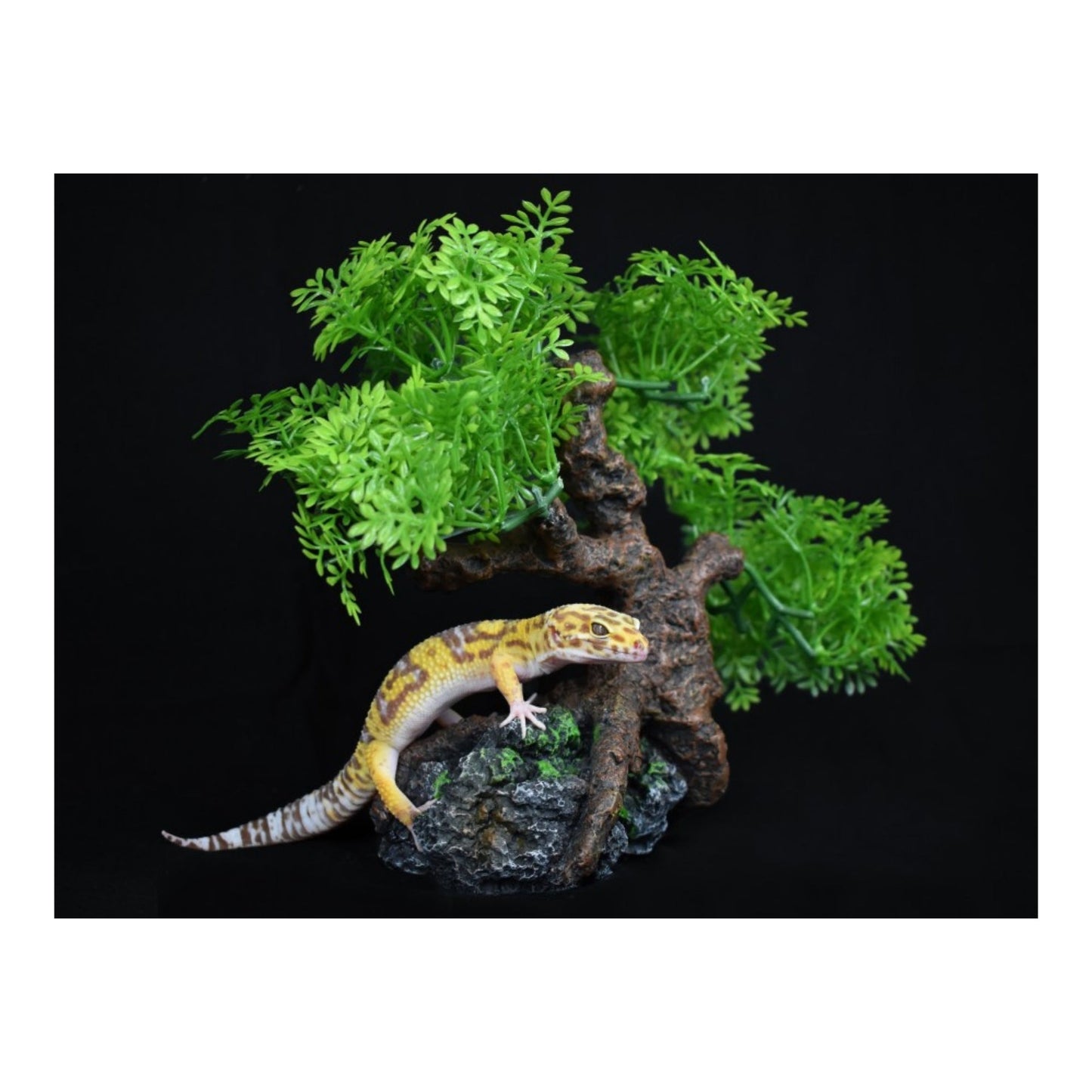 Komodo Bonsai Tree Terrarium Decor and Reptile Basking Spot, 17 Inch