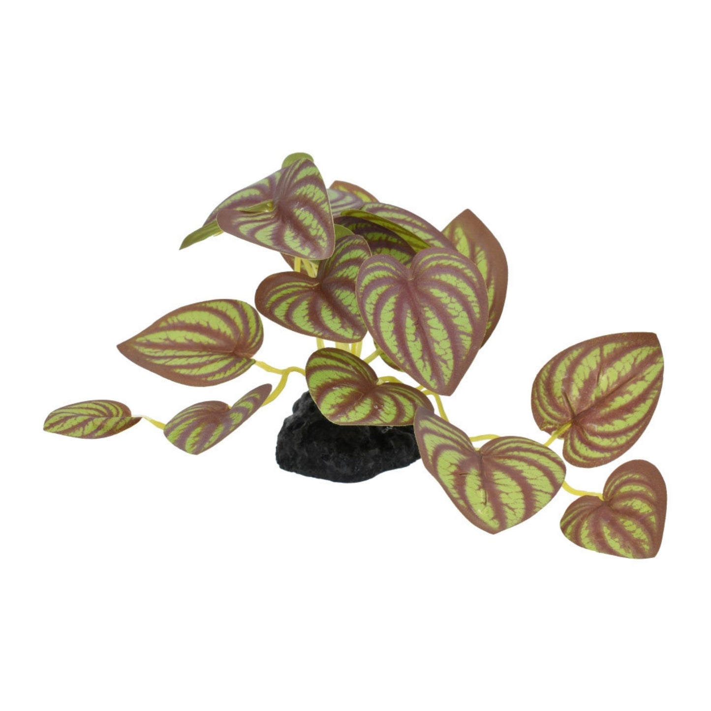 Komodo Standing Zebrina Plant 3.5 in - Terrarium Decor