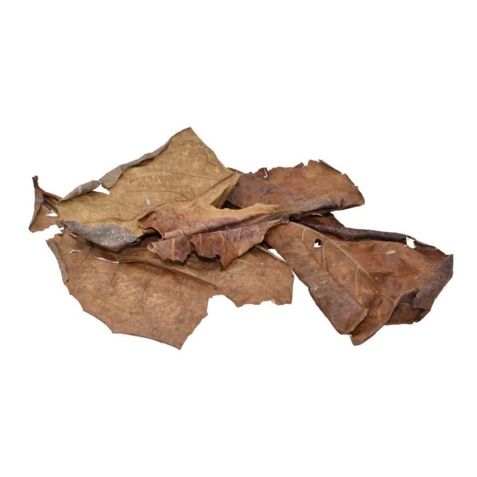 Komodo Dried Oak Leaves Vivarium Litter .98 oz