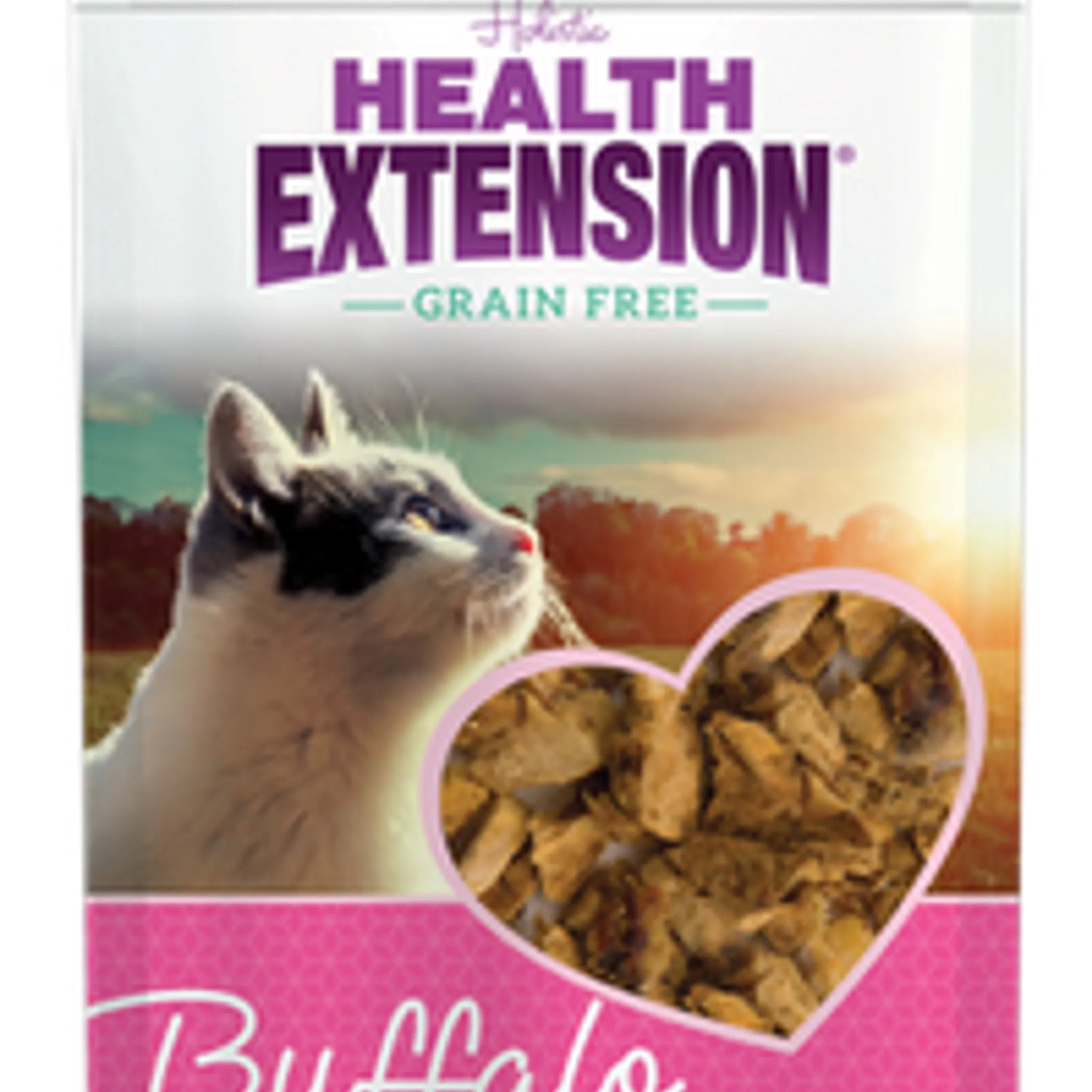 Cat Treat