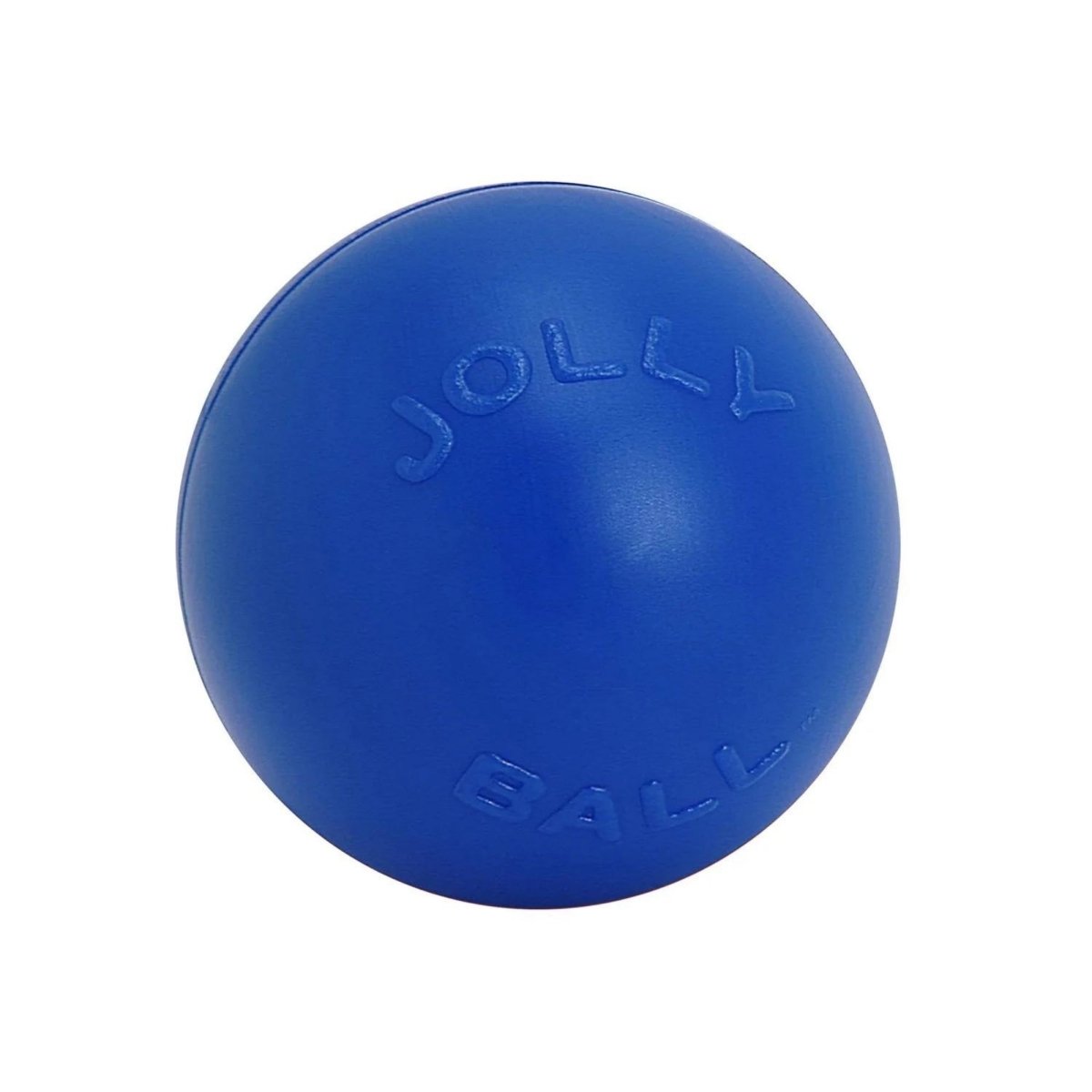 Jolly Pets Push - N - Play Ball Blue Large 10in. - Pets Perfect