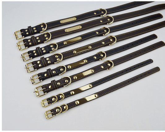 Leather Dog Collar - Personalized with Custom Engraving