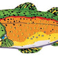FAT CAT Classic Incredible Strapping Yankers Dog Toy Trout Multi - Color 1ea/MD - Pets Perfect