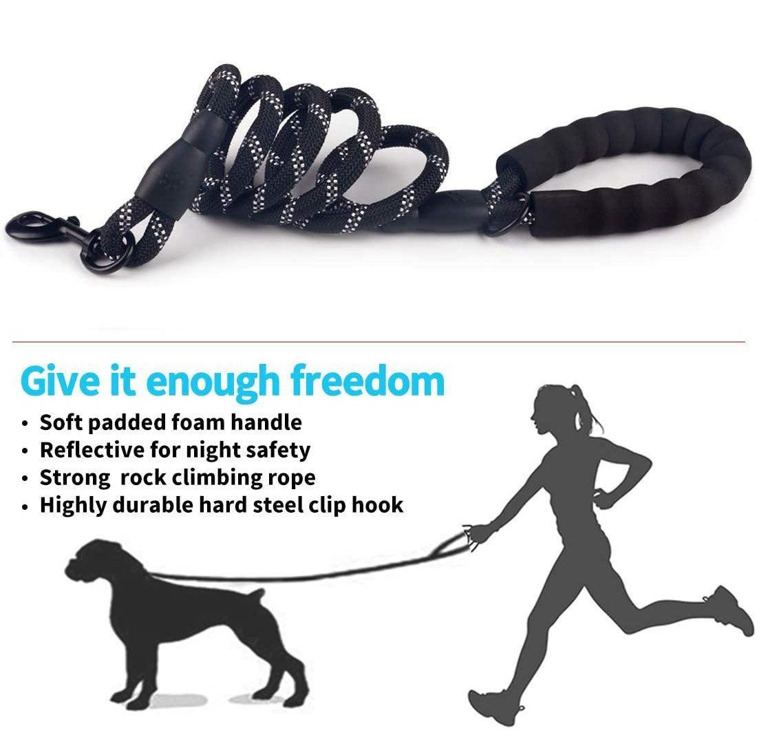 Luminous Reflective Strong Dog Leash - Pets Perfect