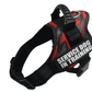 Explosafe Pet Leash: The Ultimate Safety Harness For Your Furry Friend - Pets Perfect