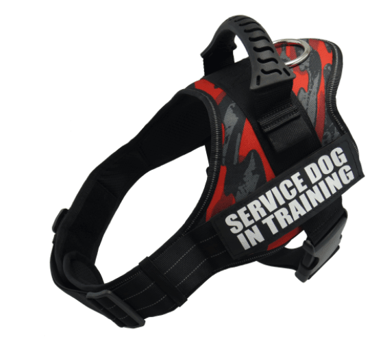 Explosafe Pet Leash: The Ultimate Safety Harness For Your Furry Friend - Pets Perfect