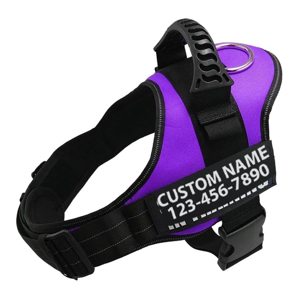 Explosafe Pet Leash: The Ultimate Safety Harness For Your Furry Friend - Pets Perfect
