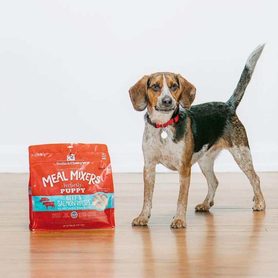 Stella & Chewy'S Dog Freeze-Dried Mixer Puppy Beef & Salmon 18oz. Default Title