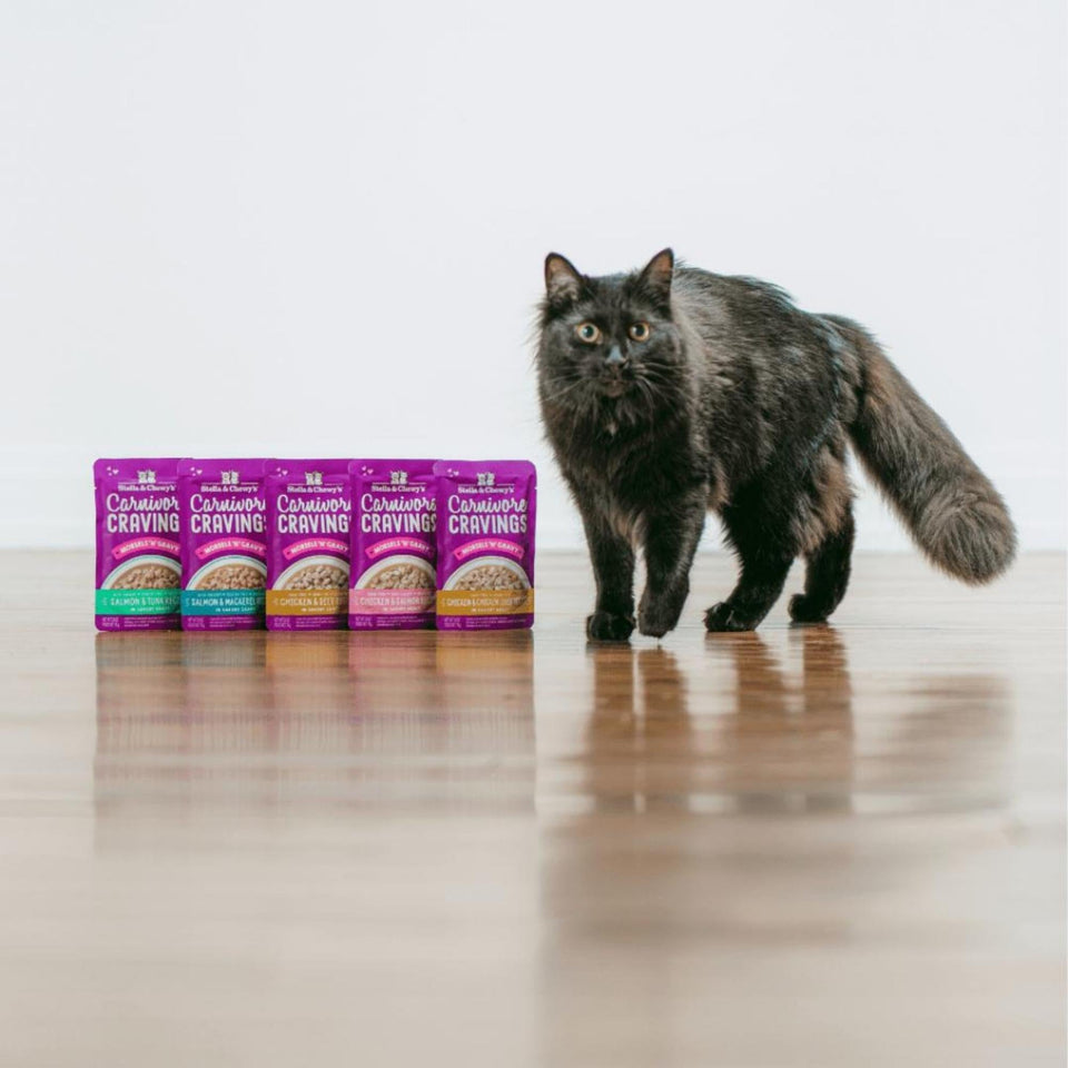 Stella & Chewy's Carnivore Cravings Morsels'N'Gravy Salmon & Tuna Recipe 2.8oz. Default Title