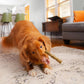 Stella & Chewy's Dog Dental Delights Large 17 ct, view 2