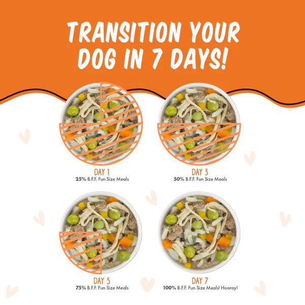 Bff Dog You My Munchkin Chicken Rice & Pumpkin Cup 2.7oz. (Case of 12) - Pets Perfect