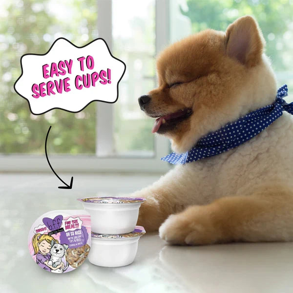 Bff Dog Oh So Nice Beef & Rice Cup 2.7 oz. 12 ct