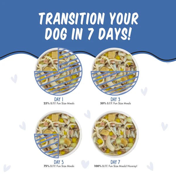 Bff Dog Wham Bam Chicken Rice Egg & Ham Cup 2.7oz. (Case of 12) - Pets Perfect