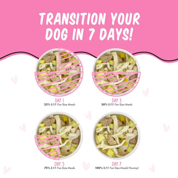 Bff Dog Wanna Be Withya Chicken Rice & Chicken Liver Cup 2.7 oz. 12 ct