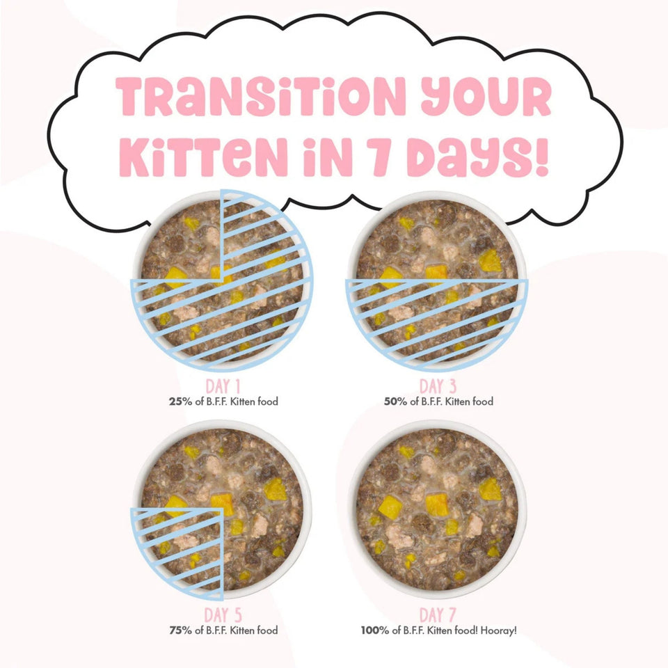 Bff Kitten Pawesome Purrs Chicken & Pumpkin 2.8oz. (Case of 12)