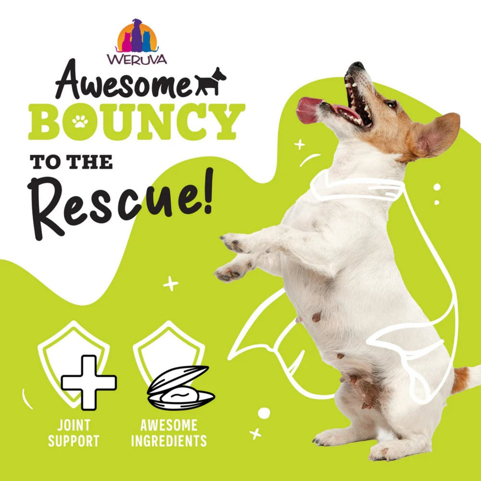 Weruva Dog Bouncy Beef & Rice 6oz. (Case of 8)