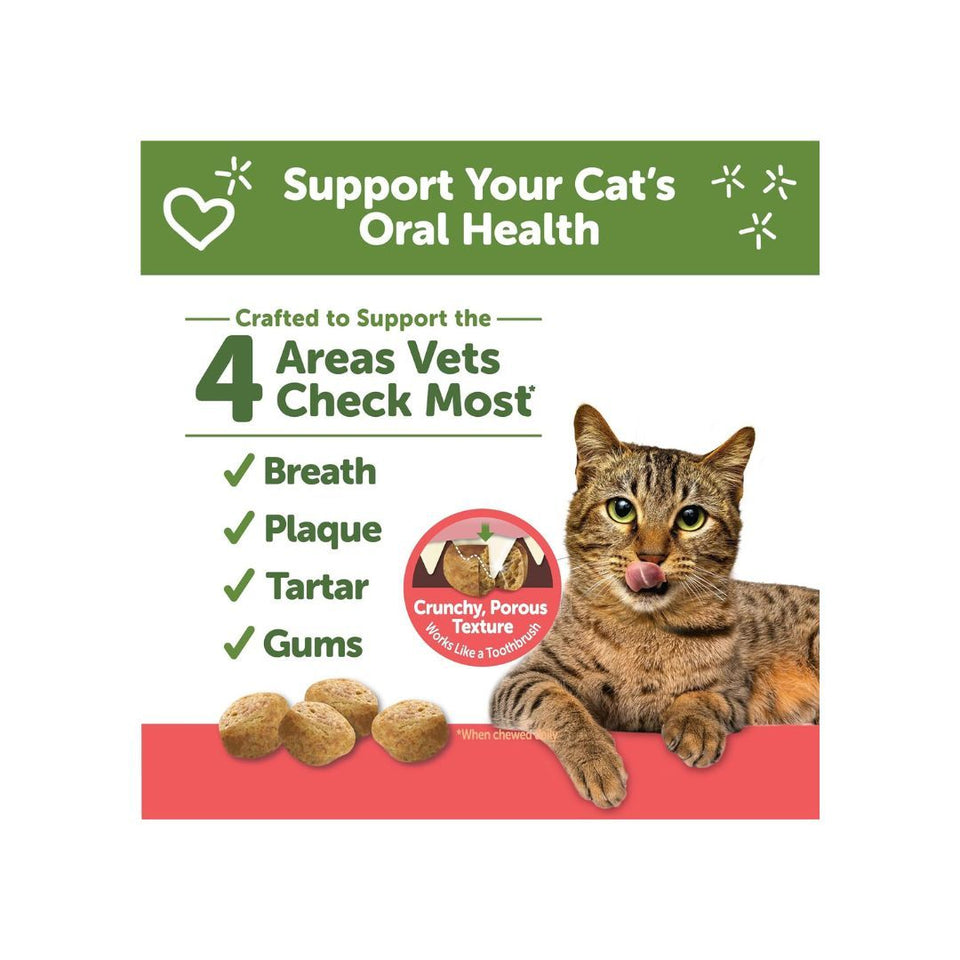 Whimzees Cat Dental Cat Treat Chicken Salmon 2 oz